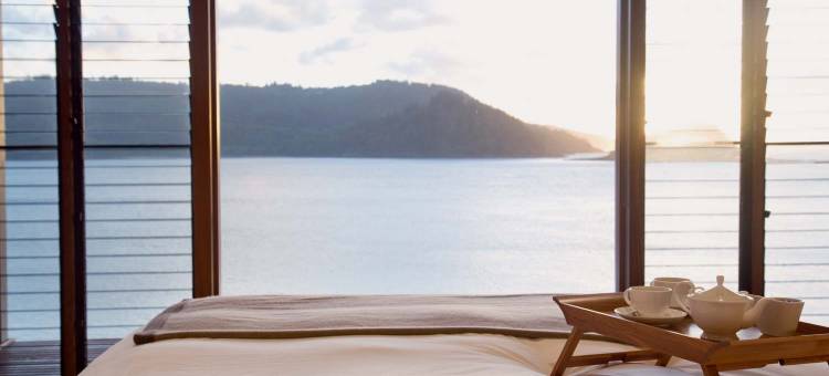 夸丽亚(Qualia)图片