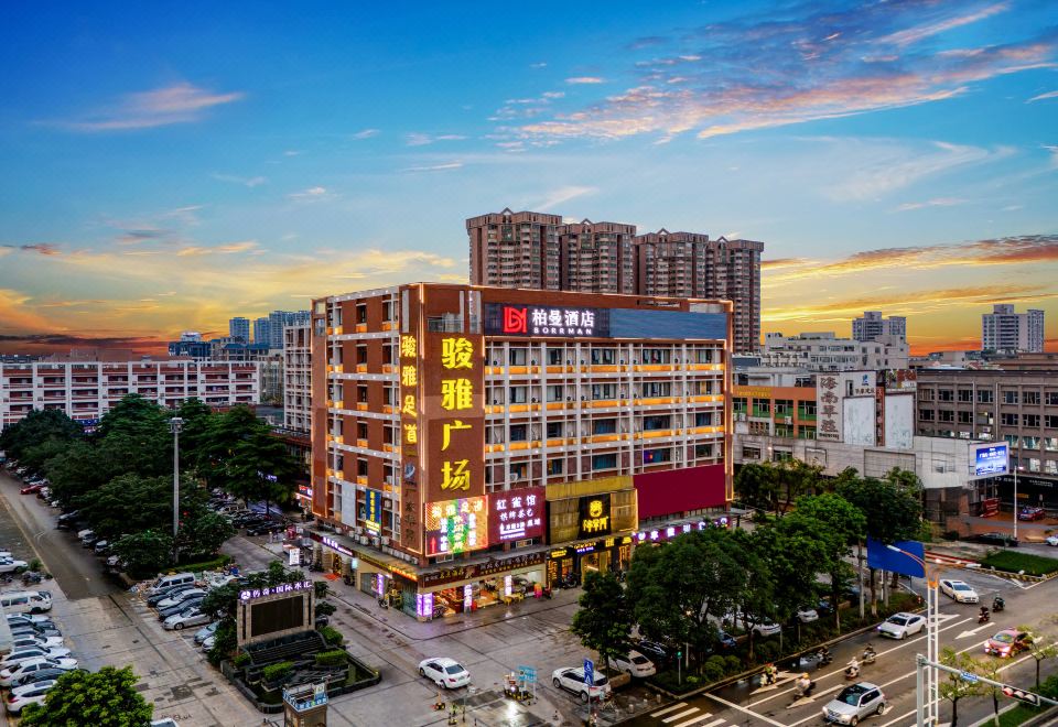 BORRMAN HOTELHotel Overview