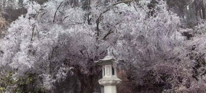 越龙山上观·龙越度假别墅图片