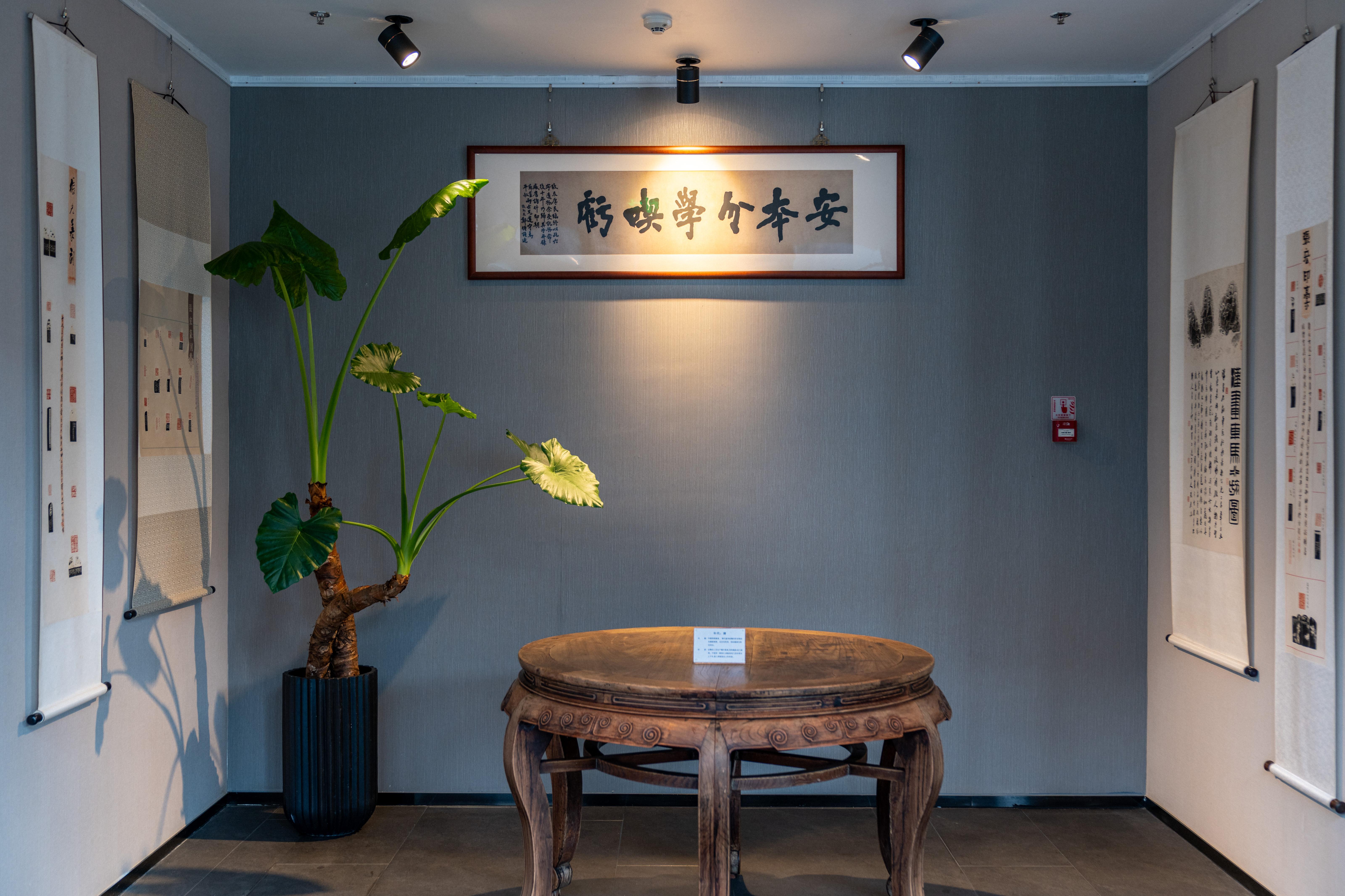 Courtyard by Marriott PinghuOver view