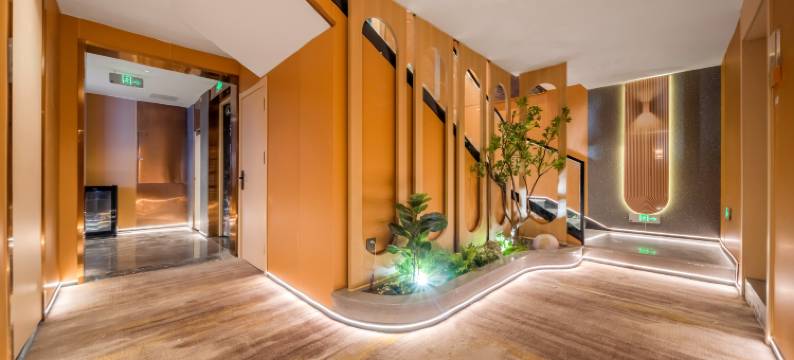 铂兴酒店(重庆观音桥步行街九街店)图片