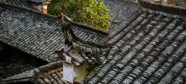 松阳杨家堂乡宿图片