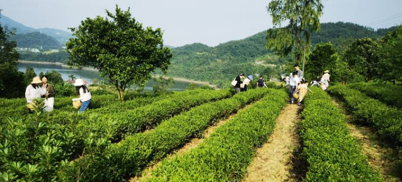 汉岚青民宿(瀛湖店)图片