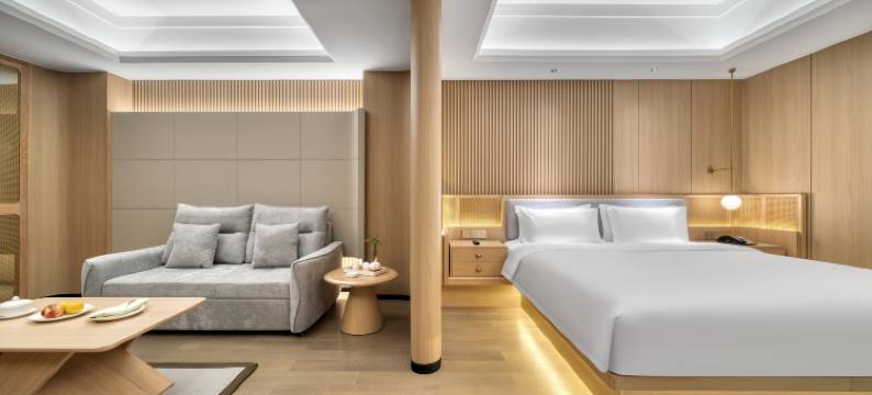 杭州暗香瑞莱克斯大酒店图片