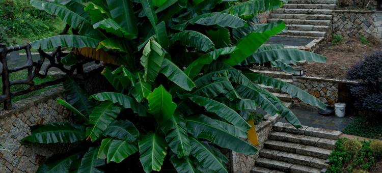 千岛湖栖乡记·花园·亲子休闲度假民宿图片