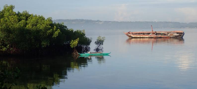 Eskapo Verde 旅馆 莫阿尔博阿尔(Eskapo Verde Lodge)图片