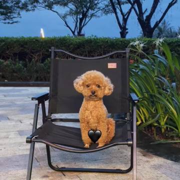 万宁日月湾传奇海景度假公寓图片