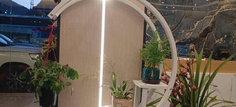 宏泰大酒店图片