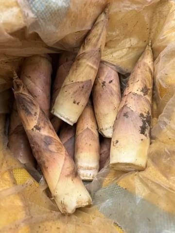 莫干山陌舍予家·溯溪亲子泳池民宿(湖州西塞山店)图片