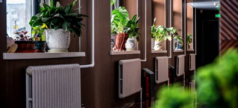 鼎江商务酒店(黑龙江公园店)图片