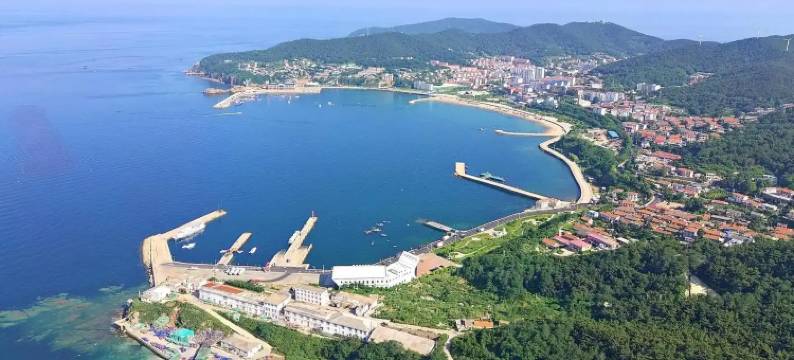 獐子岛晨苑鱼家图片