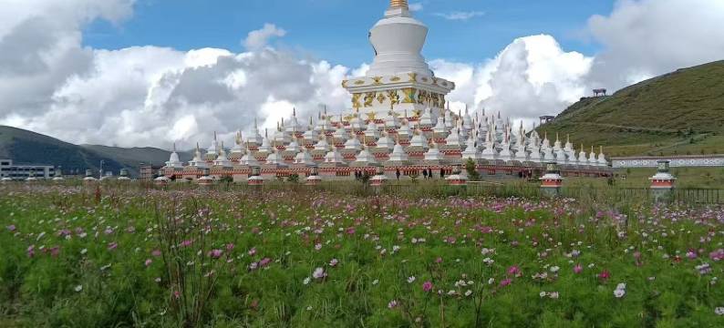 稻城九五大酒店图片