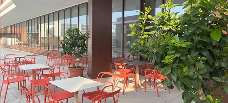 民宿酒店 威尼斯泻湖(B&B HOTEL Venezia Laguna)图片