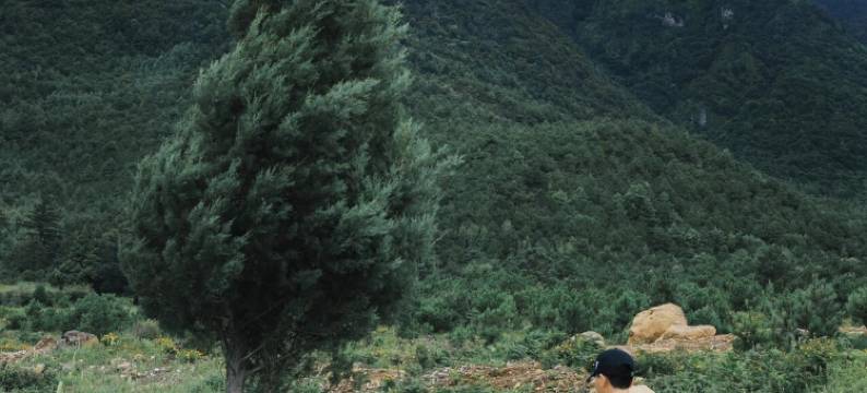 墅家玉庐·日照金山纳西秘境Villa(丽江店)图片