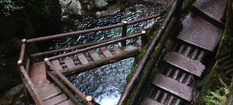 涞源客栈(青城后山景区店)图片