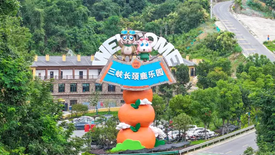 精選4星級