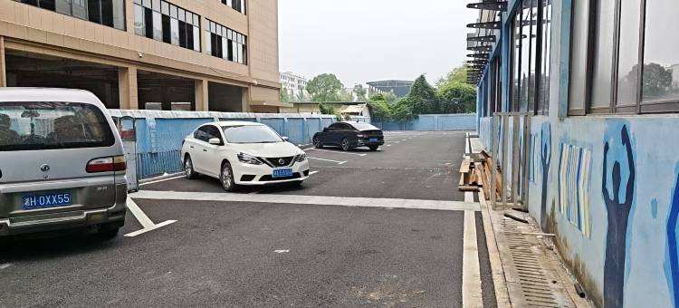 丽艾酒店(幸福渠东路店)图片