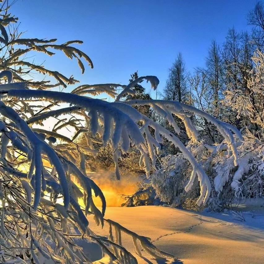 艾扉酒店(阳泉北山公园滨河新天地商业广场店)图片
