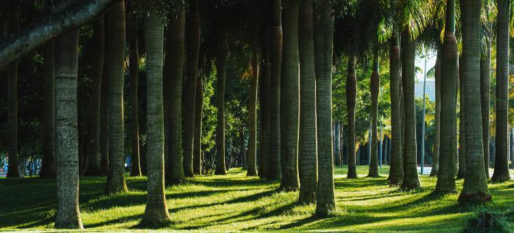 维也纳酒店(弥勒湖泉水乡温泉店)图片