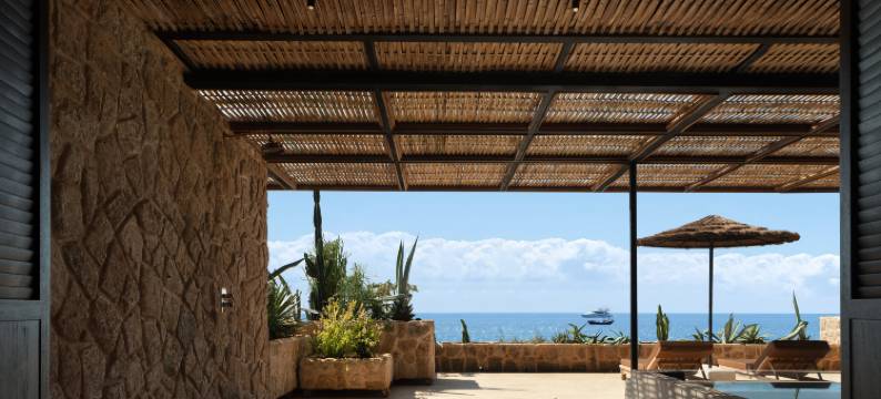 方岛丨巨鲸图片