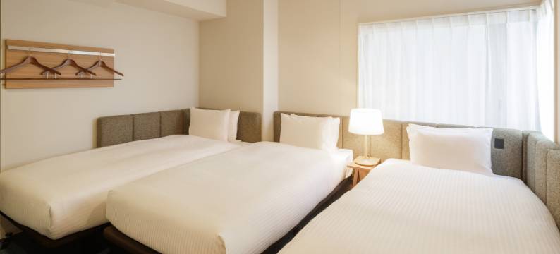 浅草樱桥阿曼内克酒店(HOTEL AMANEK Asakusa Sakurabashi)图片
