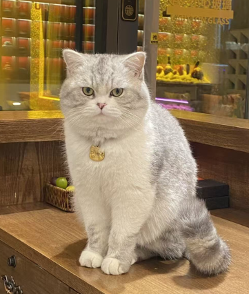 云缦·兮温泉民宿(忻州古城店)图片