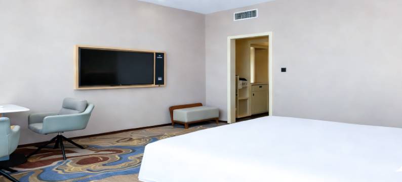 宝石花陇东酒店(庆阳高铁站东方丽晶茂店)图片