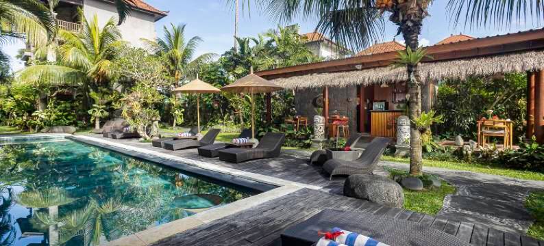 The Runik by GenuineHost图片