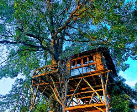 望婺源·流苏小筑·篁岭设计师民宿图片