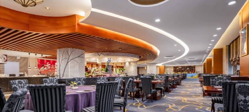 芜湖海螺国际大酒店图片