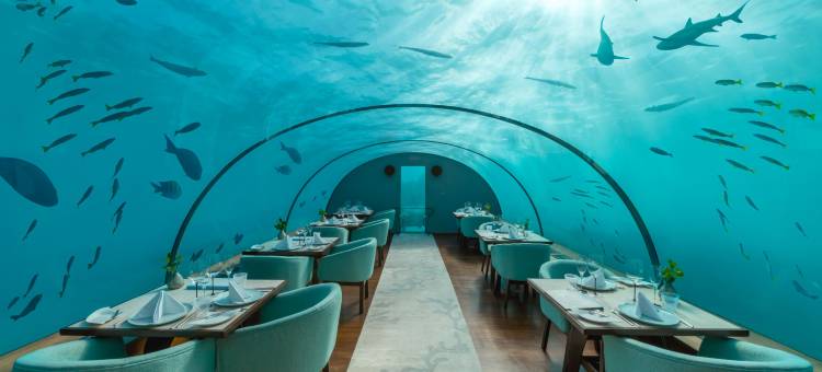 马尔代夫伦格里岛康莱德酒店(Conrad Maldives Rangali Island)图片