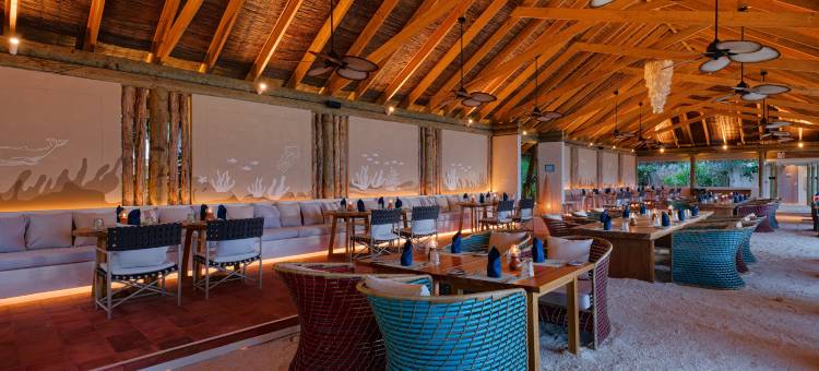 奥露·哈林吉利岛(Oblu Nature Helengeli-All-Inclusive with Free Transfers)图片