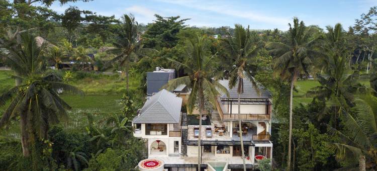 乌布苏阿拉阿拉姆酒店-Ini Vie Hospitality旗下(Suara Alam Hotel Ubud by Ini VIE Hospitality)图片