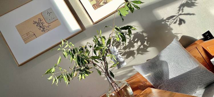 云泊酒店(九原万达店)图片