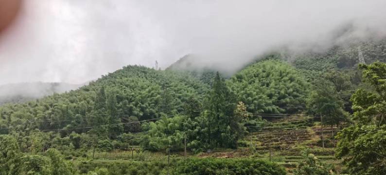 黄山君瑶客栈图片
