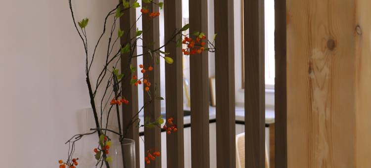 太白云端山居图片