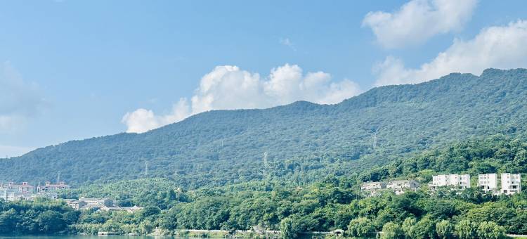 东江湖自得名宿图片
