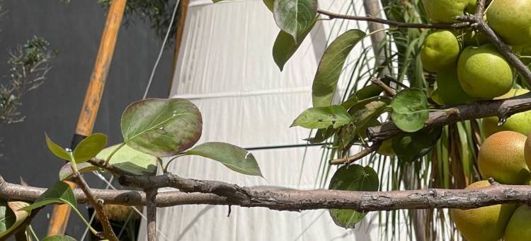 雀CHILL HOTEL(士登店)图片