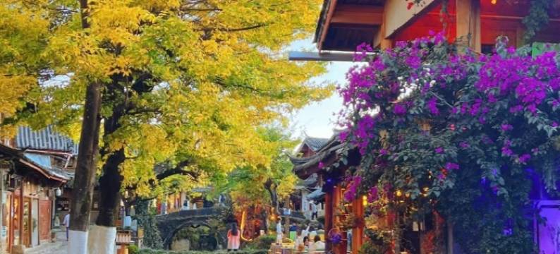 文渊阁·retro纳西民族体验文化别院图片