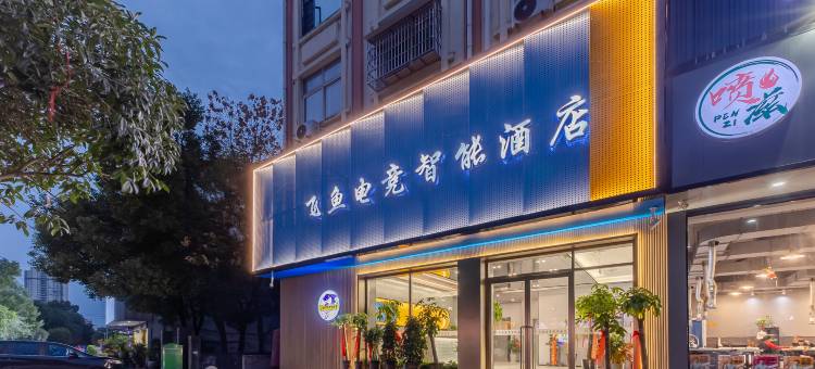 枞阳飞鱼电竞智能酒店图片