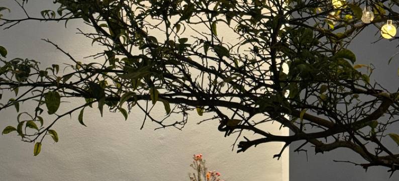 大理喜遇棠民宿(喜洲古镇店)图片