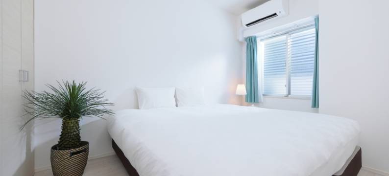 水晶豪华南紀白滨Ⅱ(Crystal Exe Nanki ShirahamaⅡ)图片