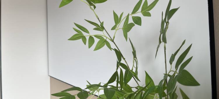 毕加索公寓(天津南开大学店)图片