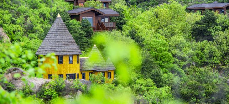 云峰山童话树屋图片