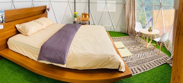 塌吗茶(Tham ma chard)图片