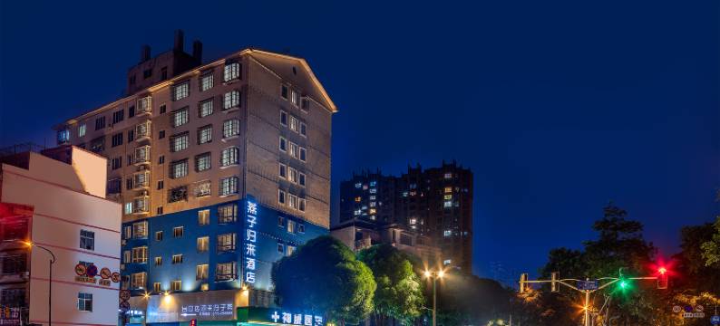 燕子归来酒店(百色右江区恒基广场美食城店)图片