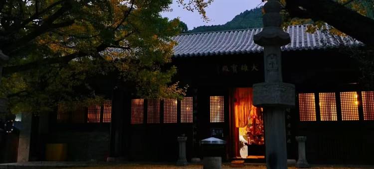 泰安山海大酒店(天外村店)图片