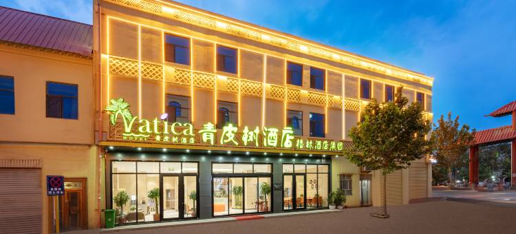 青皮树酒店(喀什古城民族特色美食街国际会展中心店)图片