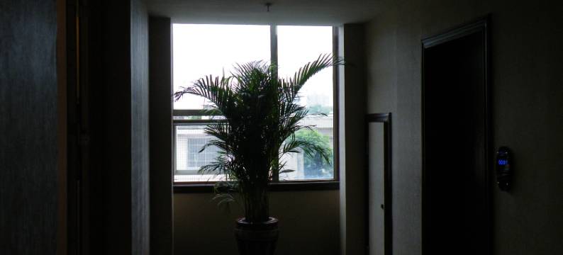 漫庭·拾光酒店(贵阳清镇云岭中路店)图片