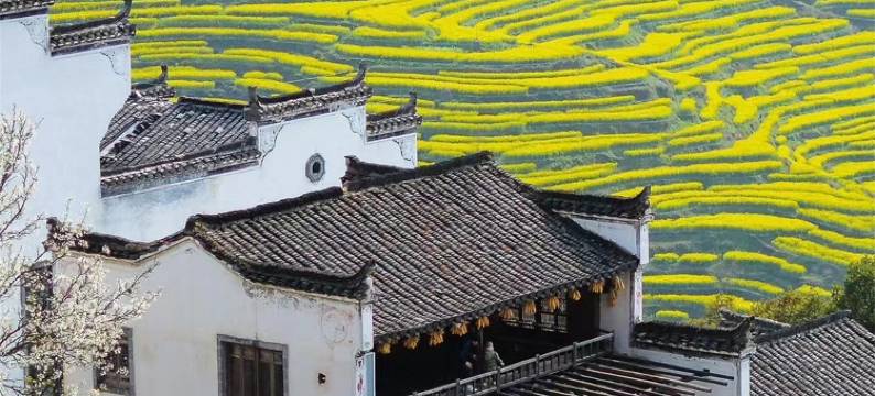 秋野小舍丨田园景观轻奢度假美宿(婺源篁岭风景区店)图片